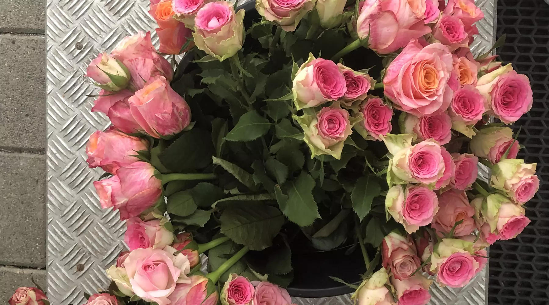 Roses
