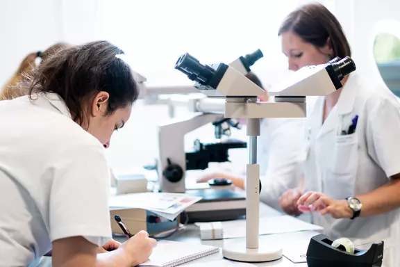 Spécialité - Laboratoire