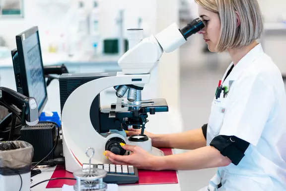 Spécialité - Laboratoire