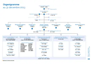 Organigramme au 31 décembre 2023