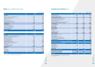 Bilan et compte de résultat 2023