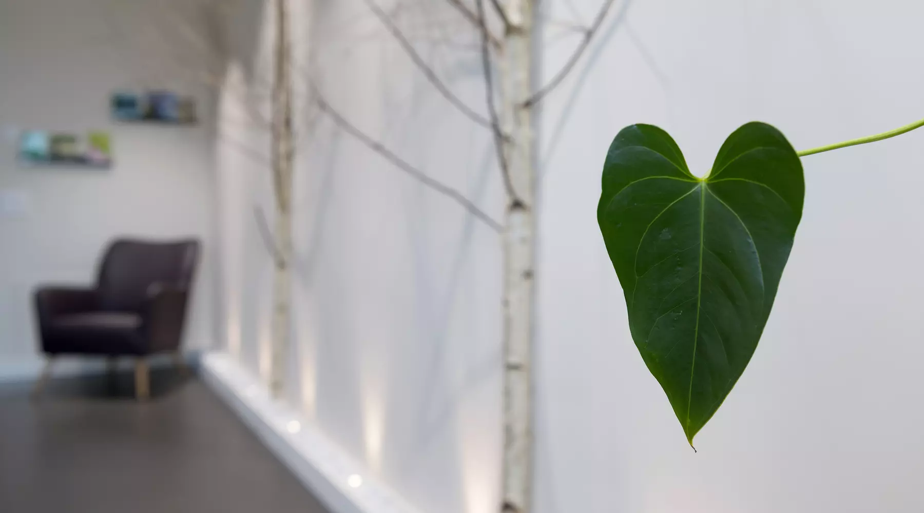 Ein Blatt in Herzform in einem Aufenthaltsraum der Palliative Care