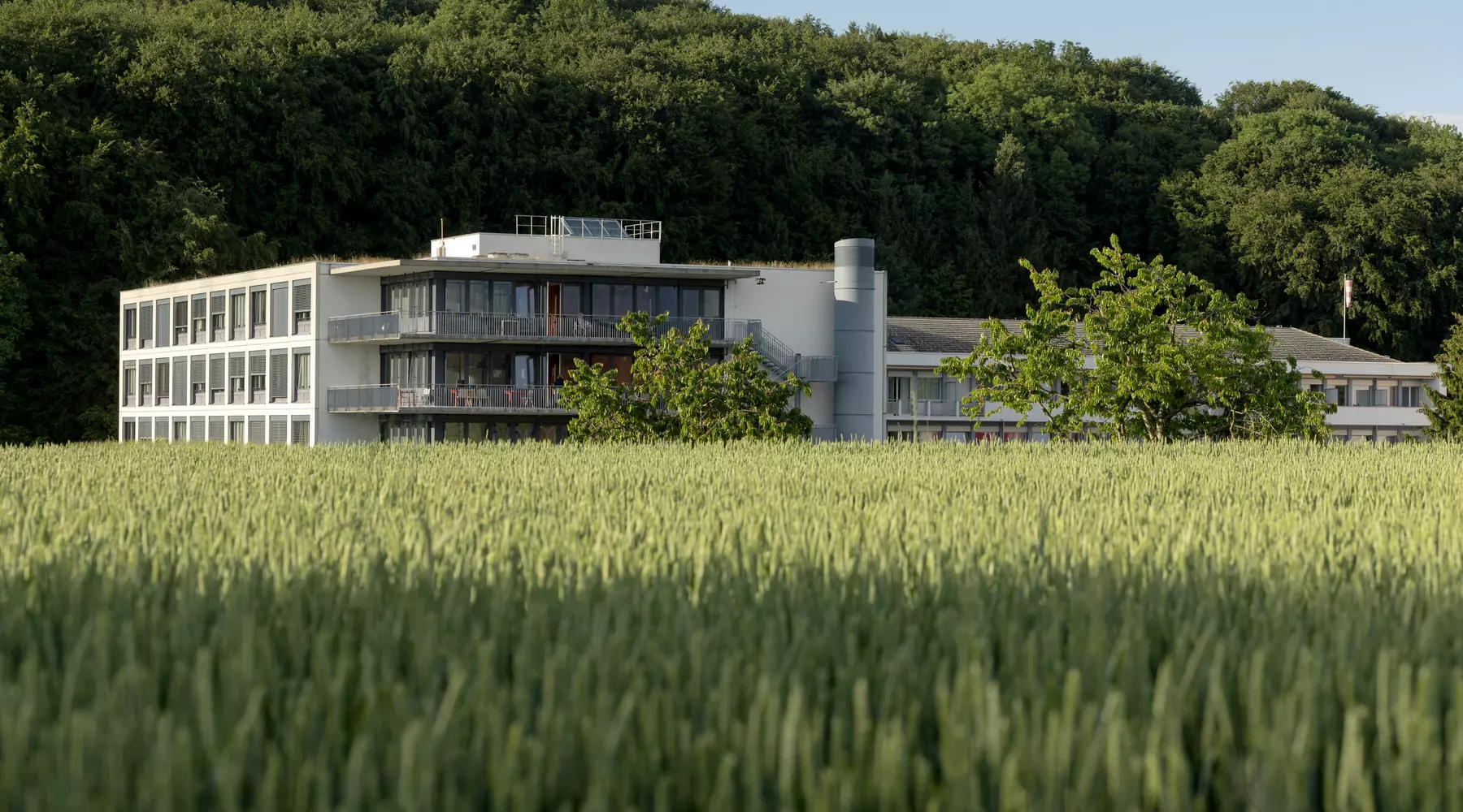 Vue extérieure de l’HFR Tafers, entre la forêt de Maggenberg et un champ, été 2018 