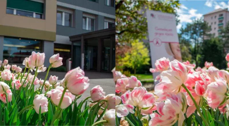 Les tulipes devant les entrées du CSF à Fribourg et le Daler